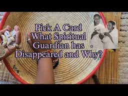 Pick A Card What Spiritual Has Guardian Disappeared and Why? Shell 🐚 Reading