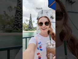 Starbucks Holiday Drinks at Disney World! 🎄 Hollywood Studios Mini Vlog #disney #disneyworld #vlog