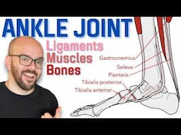 Anatomy of the Ankle Joint | Bones, Ligaments, and Muscles