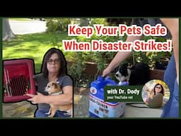 Is Your Pet Ready for a Natural Disaster?