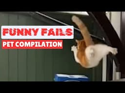 Epic Pet Fails! Cats & Dogs Just Can’t Get It Right 😂 | Must-Watch