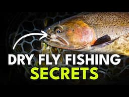 How To Catch More Fish on Dry Flies | Ep. 98