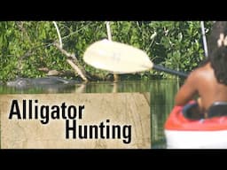 Hunting Alligators in Florida