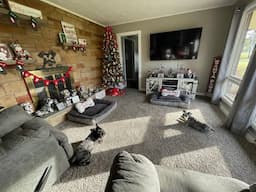 Schnauzer Room Decorated For Christmas | Life With Schnauzers