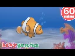 Come Swim with Me Song 🎵🐟 Baby Genius Nursery Rhymes and Kids Songs 🫧🐠