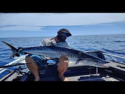 STABICRAFT on the GREAT BARRIER REEF - Fishing Townsville