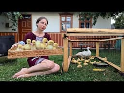 Woman is creating small duck farm. Cooking amazing lunch with smoked ribs. Slow Countryside Life