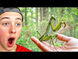 He RAISED A PET PRAYING MANTIS!