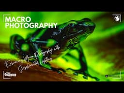 Macro Photography and Non-Flash Supplemental Lighting