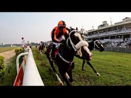 JAPAN CUP 2024 WINNER | STAR GLORY