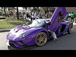 Exotics at The Colonnade Exits | Supercars, Amazing Cars, Exotic Cars, Custom Cars, Car Show