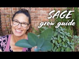 Sage Growing Guide: Plant, Care, Prune, Harvest, & Dry