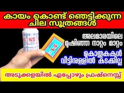 വർഷങ്ങളായിട്ട് കായം ഉപയോഗിച്ചിട്ടും ഈ ചില ഞെട്ടുന്ന കാര്യങ്ങൾ അറിയില്ലായിരുന്നോ | Kitchen tips