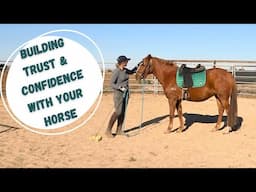 Mastering Green Horse Training: Build Trust and Confidence