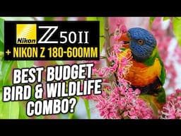 Nikon Z50II + Nikon Z 180-600mm | BEST BUDGET Bird & Wildlife Combo?