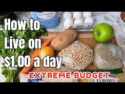 EATING FOR $1 A DAY in 2024 | EXTREME BUDGET MEAL PLAN