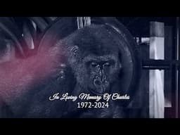 In Loving Memory Of Charles (1972-2024)