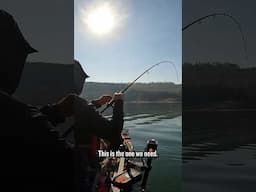 My Bait Got Stuck Then THIS HAPPENS?!