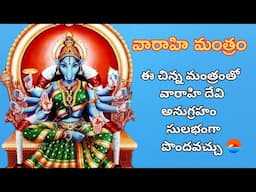 VARAHI MANTRAM | వారాహి దేవి అనుగ్రహం ఈ చిన్న మంత్రంతో   సులభంగా పొందవచ్చు