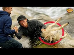 30 Acts Of Kindness Towards Animals That Asked People for Help !