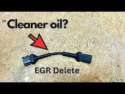 Does an EGR Delete Cable keep your oil Clean?