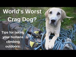 World's Worst Crag Dog?... Tips for Taking Your Humans Climbing Outdoors