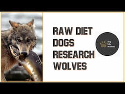 Lets Talk About Your Dogs Raw Diet, Research, Wolves, and Tips and Tricks