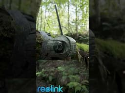 Reolink has got you covered! #wildlife #outdoorphotography #wildlifephotography #naturephotography