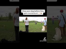 Change the bad behavior before it happens! #dogtraining #aggressivedogtraining #realdogtraining