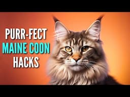 8 Tips Every Maine Coon Cat Owner Should Know