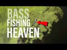 Late SUMMER Bass Fishing | CATCH MORE in SEPTEMBER