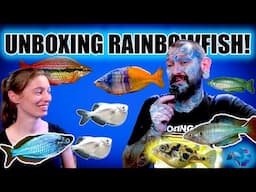 UNBOXING AMAZING AUSTRALIAN RAINBOWFISH! ~ WEIRD TETRAS ~ FRESHWATER PUFFERFISH! Pauls Aquariums