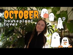 October houseplant favorites | Hoya, Anthurium, Philodendron & more!