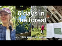 I spent 6 days in the forest to de-stress. (forest bathing 101)