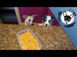 Roxanne's Cheese Cracker Recipe for Dogs