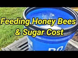 Feeding Honey Bees & Sugar Cost