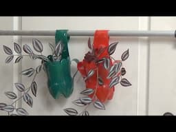 Amazing Hanging Planter Craft Ideas | Plastic Bottle Planter