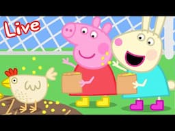 Peppa Pig en Español Episodios completos 🔴 EN VIVO