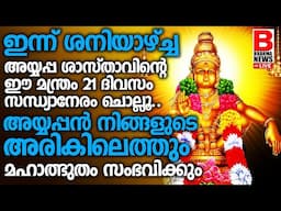 ഇന്ന് ശനിയാഴ്ച്ച..അയ്യപ്പ ശാസ്താവിൻ്റെ ഈ മന്ത്രം 21ദിവസം സന്ധ്യാനേരം ചൊല്ലൂ.. SABARIMALA AYYAPPAN