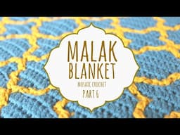 ✨ MALAK BLANKET ✨ PART 6 | Mosaic Crochet | Lanas y Ovillos in English