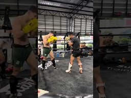 Superbon Sparring Joe Ryan