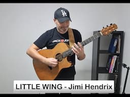 Adam Palma plays Little Wing