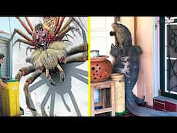 50 Terrifying Animal Invasions In Homes and Swimming Pools