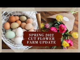 Cut flower farm 2022 plans, Seedling rack tour + Healthy meal idea