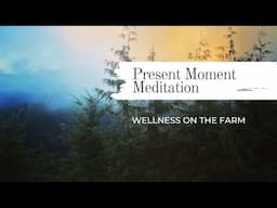 Present Moment Mindfulness Meditation - Beginner Friendly, relax, calm, breathe.