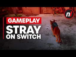 Stray Nintendo Switch Gameplay