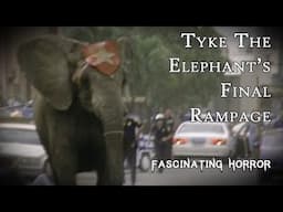 The Final, Fatal Rampage of Tyke the Elephant | A Short Documentary | Fascinating Horror