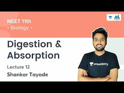 Digestion and Absorption | L12 | NEET 11th Biology | NEET 2022 | Shankar Tayade