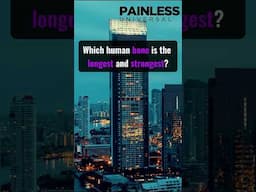 Painless Universal Quiz - How Well Do You Know Your Body?