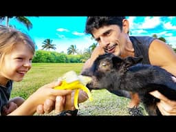 Feeding Our Orphan Baby Goat a Banana - Cute Baby Animals